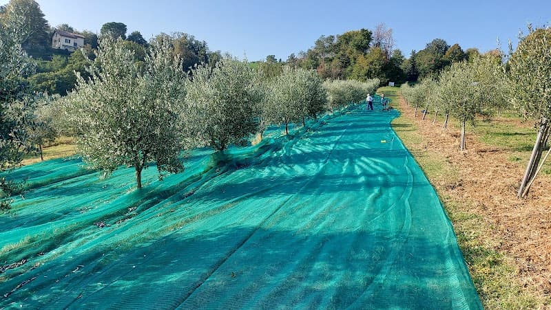 Immagine di Azienda Agricola Bonazza a Bologna, Emilia-Romagna