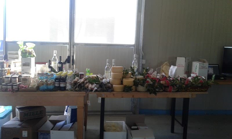 Immagine di Azienda Agricola "Il Lago nella Valle" a Filottrano, Marche