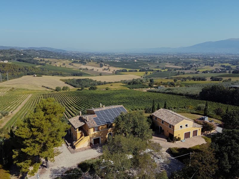 Azienda Agricola Omeodinamica Borgese