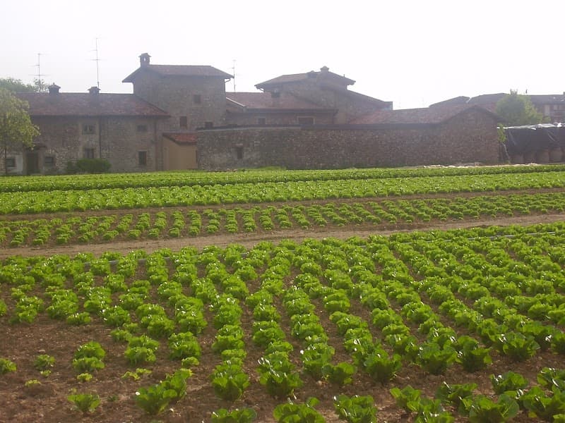 Immagine di Agricola Pagani Bruno e Luigi s.s. a Bovezzo, Lombardia