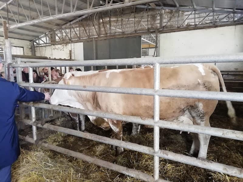 Immagine di Fattoria del Monte Puro a Verchiano, Umbria