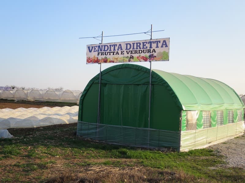 Immagine di Vendita diretta Frutta e Verdura Az.AGR. BOVI GIUSEPPE a San Martino Buon Albergo, Veneto