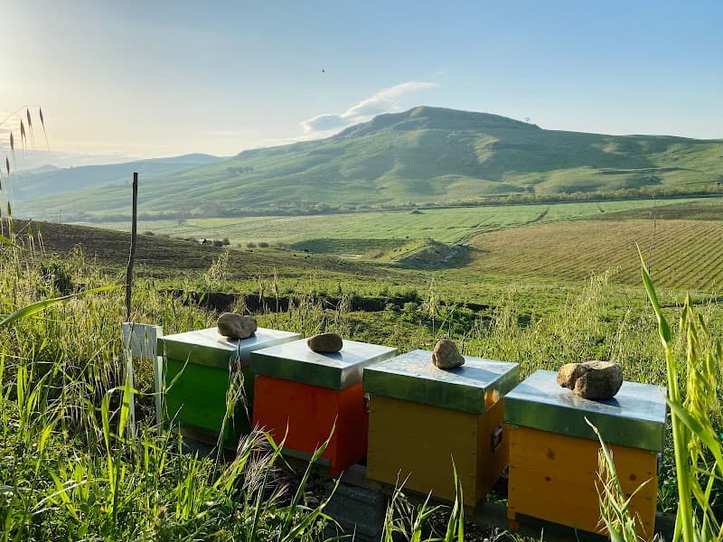 Immagine di Azienda Agricola Lo Cicero Giuseppe a Monreale, Sicilia