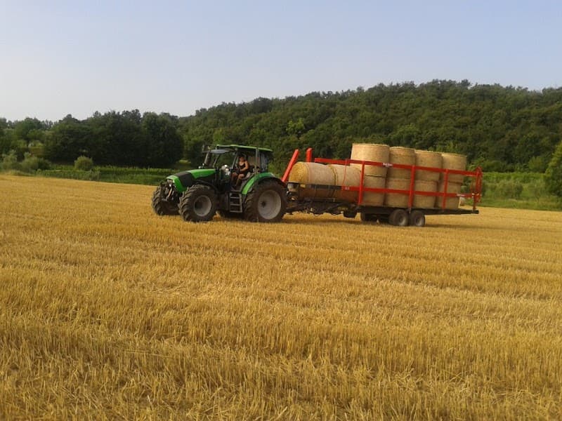 Immagine di Azienda Agricola del Pellegrino a Terzago, Lombardia