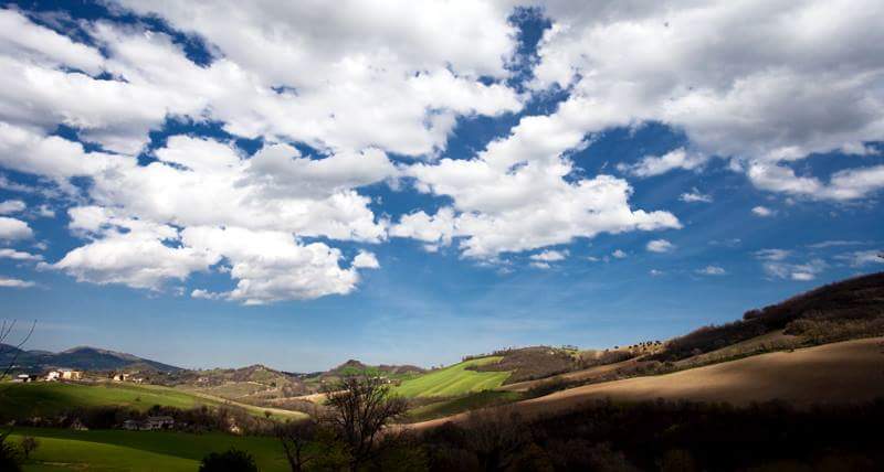 Immagine di Azienda Agricola Mariani a San Severino Marche, Marche