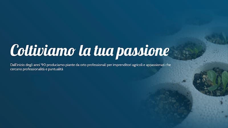 Immagine di Az. Agricola Biologica “L'Orto di Casa Mia Bio” a Santa Lucia, Lazio