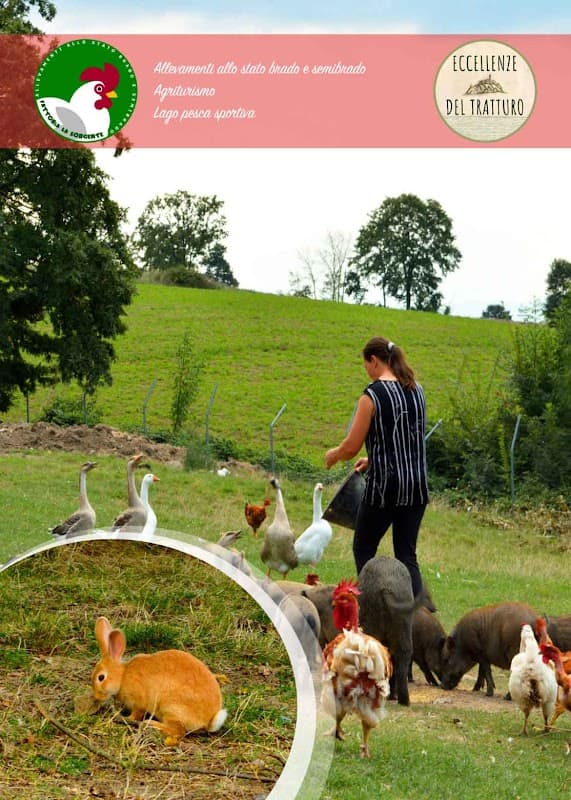 Immagine di Fattoria La Sorgente a Santa Croce del Sannio, Campania