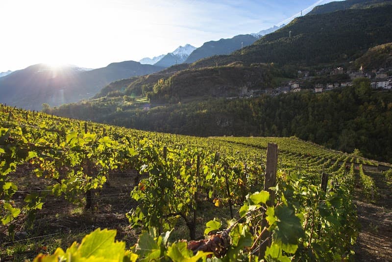 Immagine di Cooperative De L'Enfer Soc. Coop. a Nus, Valle d'Aosta