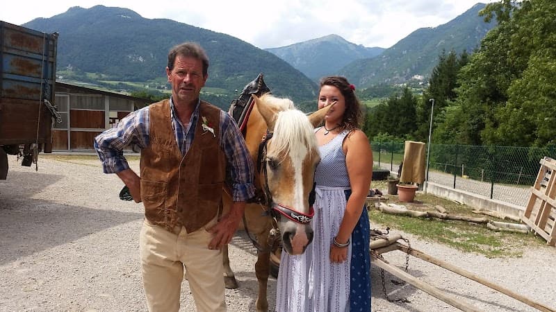 Immagine di Azienda Agricola e Fattoria Didattica "EN GALAVRA" di Alberti Bortolo a Comano Terme, Trentino-Alto Adige