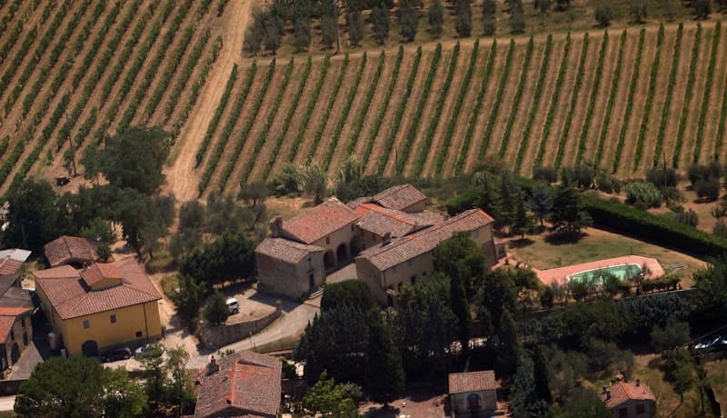Immagine di Azienda Agricola Campochiarenti a San Gimignano, Toscana
