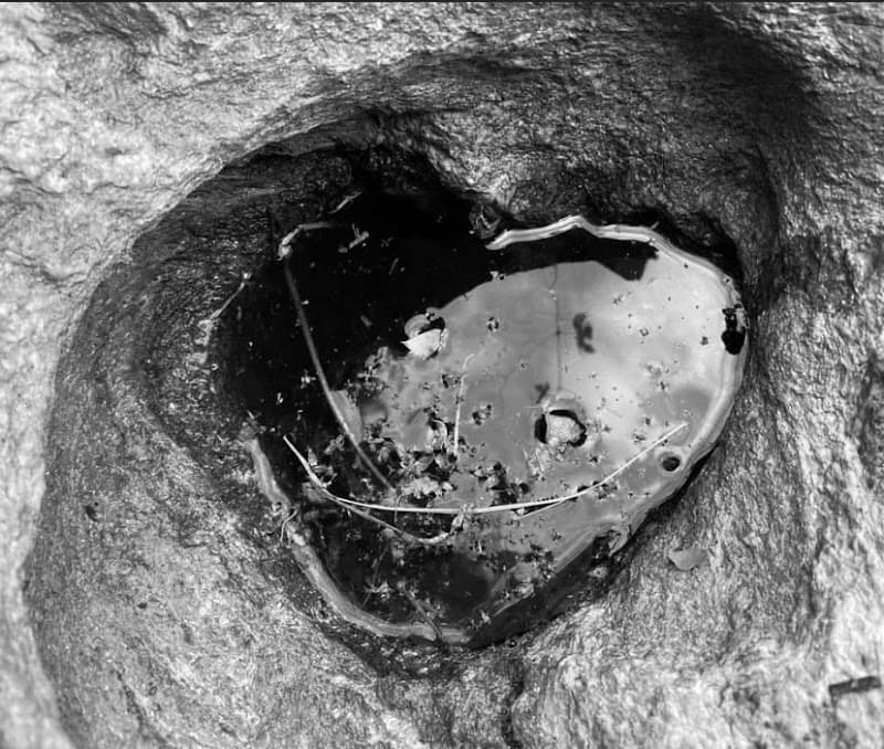 Immagine di MAISON MAURICE CRETAZ Vini biologici naturali di vigne eroiche e storiche della Valle d'Aosta a Aosta, Valle d'Aosta