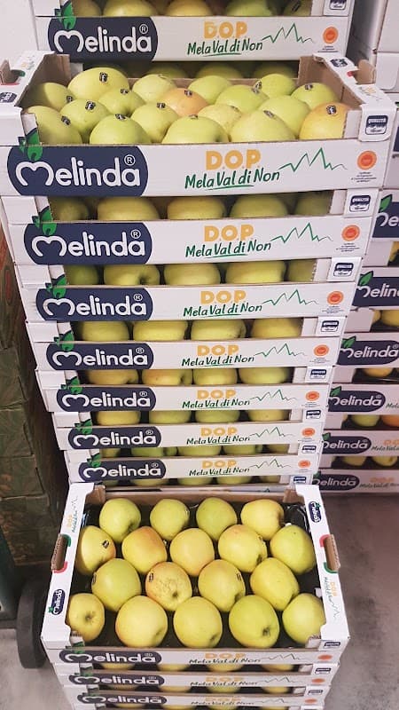 SD Fruit | Ingrosso Ortofrutta a domicilio