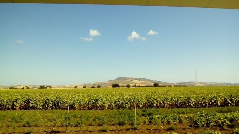 Immagine di Azienda Agricola "TrasFormazioni" a Larino, Molise