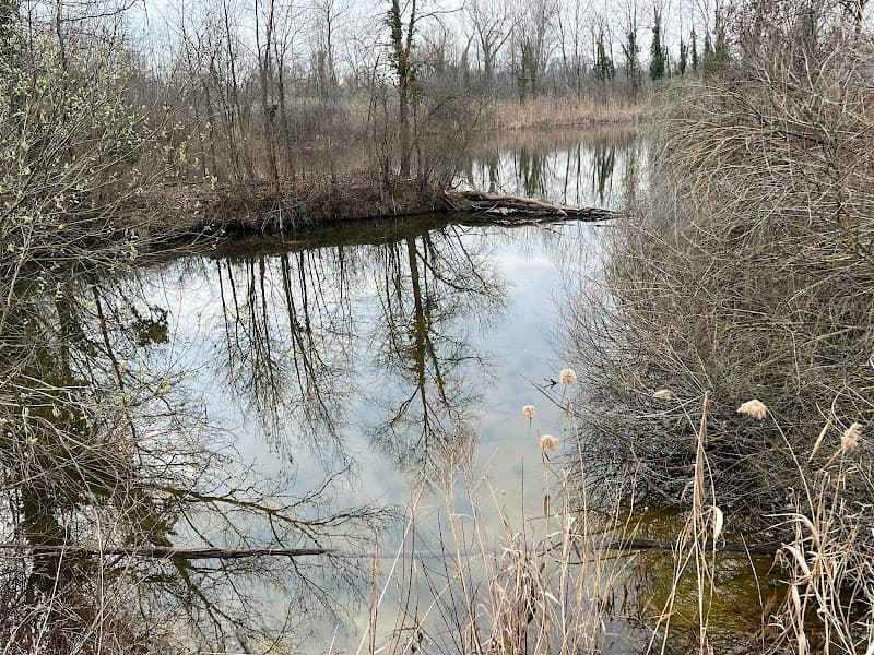 Immagine di Donna Gnora Società Agricola a Noale, Veneto