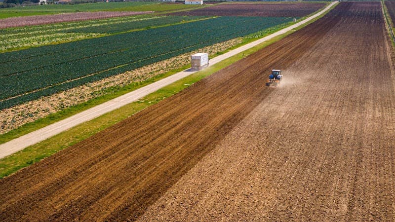 Immagine di Unifruit | Az Agr Condoluci Angelo a Corigliano, Calabria