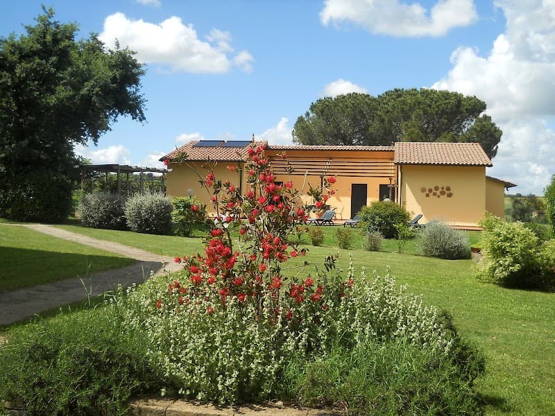 Immagine di Agriturismo Poggio Sassineri Toscana a Firenze, Toscana