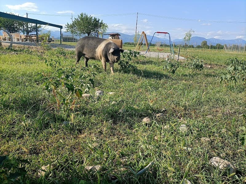 Immagine di LA FRASCA ssa a Spilimbergo, Friuli-Venezia Giulia