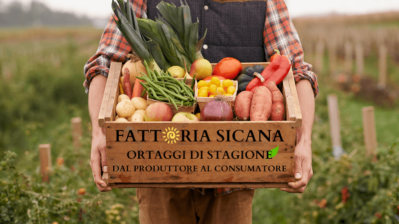 Immagine di Fattoria Sicana a Palermo, Sicilia