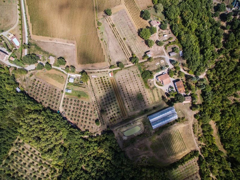 Immagine di Azienda Agricola Rinaldi Marta - L'Orto di Marta a Mercatello, Umbria
