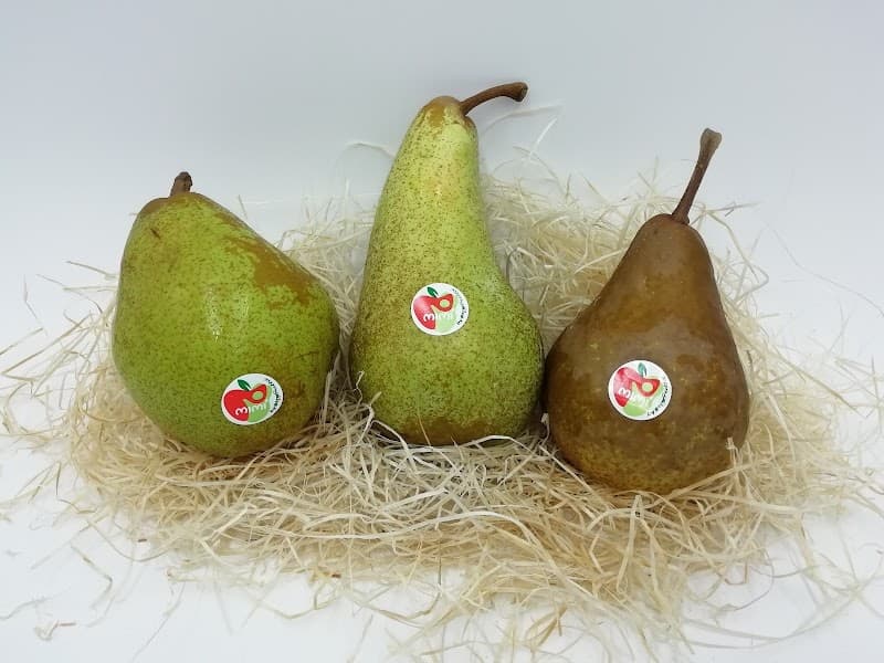 Immagine di Strafrutta Srl a Frosinone, Lazio