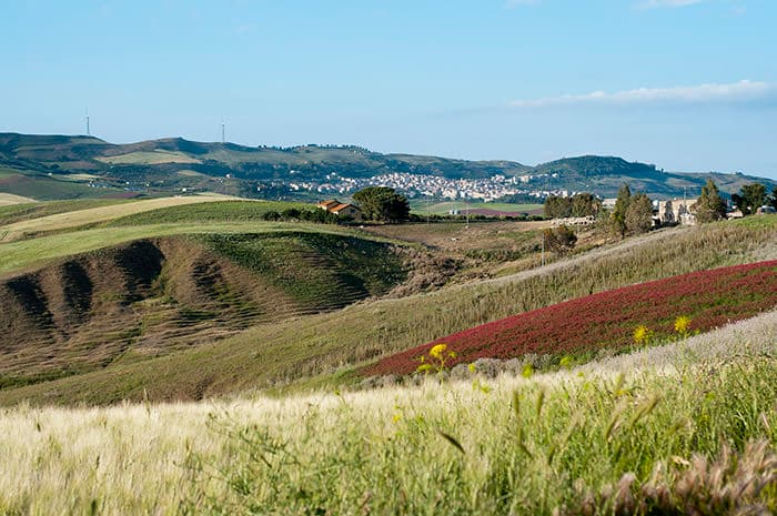 Immagine di Valdibella Cooperativa Agricola a Marostica, Veneto