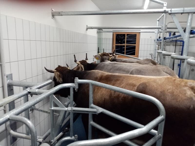 Immagine di Sicherhof a Romeno, Trentino-Alto Adige