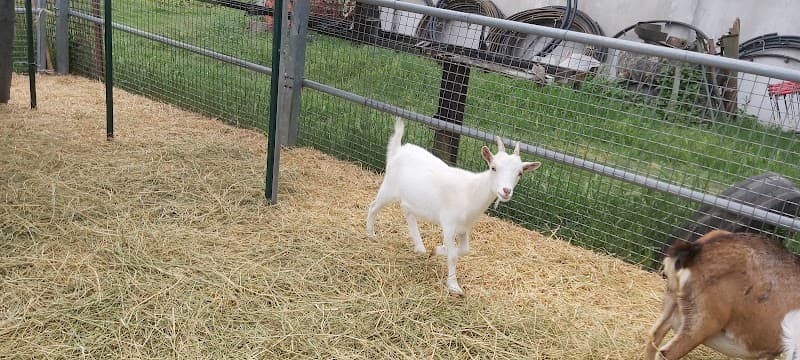 Immagine di Fattoria Rivalta a Forlì, Emilia-Romagna