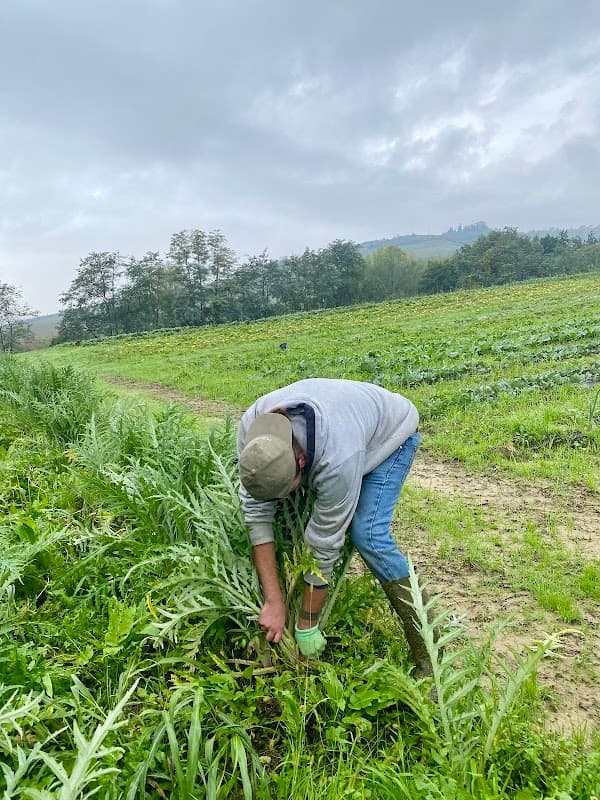 Immagine di Azienda Agricola Ca' De Cesari a Pianoro, Emilia-Romagna