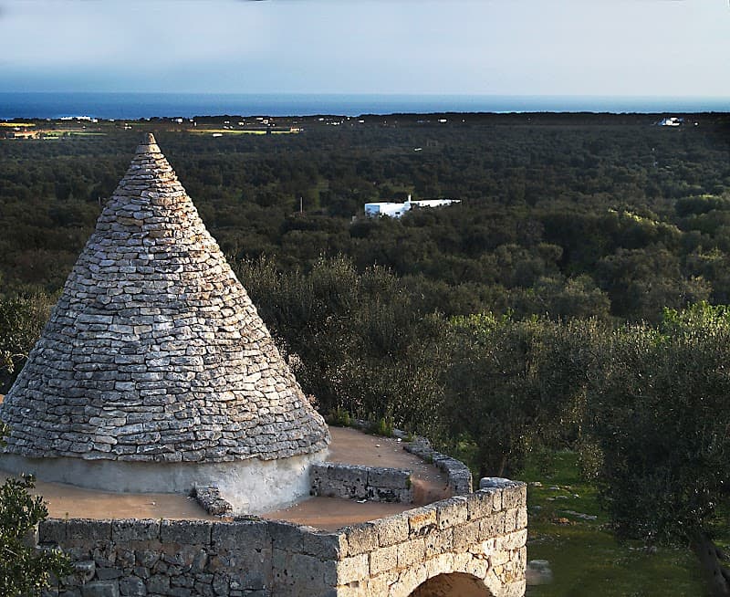 Immagine di Azienda Agricola Cintrone a San Vito dei Normanni, Puglia
