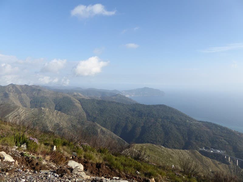 Immagine di Azienda Agricola Monte Fasce a Sori, Liguria