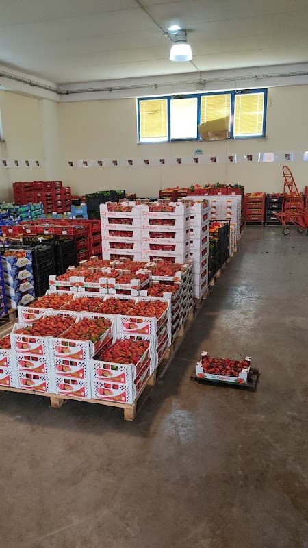 Immagine di La Molisana Frutta Srl a Campobasso, Molise