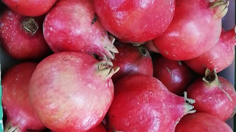 Immagine di Azienda agricola biologica Mencarini a Pesaro, Marche