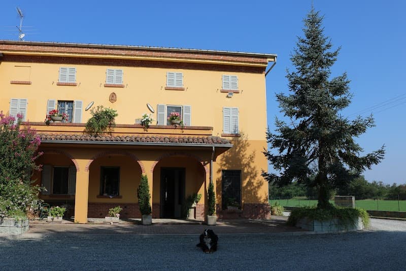 Immagine di Cascina Merlanetta - Agriturismo & Fattoria didattica a Novi Ligure, Piemonte