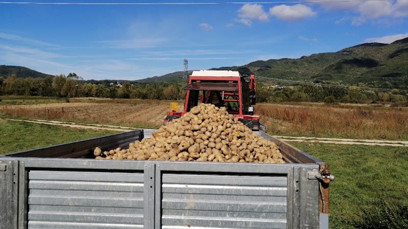 Immagine di AZIENDA AGRICOLA I COMPARI a Forcelle, Abruzzo
