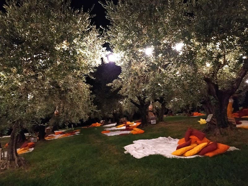Immagine di Terre Giunchi Azienda Agricola a Cesena, Emilia-Romagna