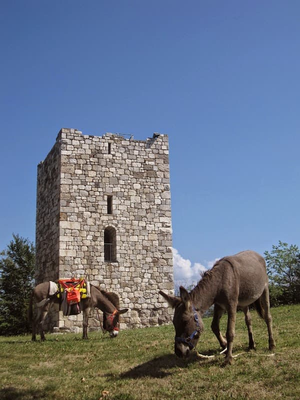 Immagine di Vasulmus Società Agricola di Gemetti Tiziana e Stocco Ersilio a Clauiano, Friuli-Venezia Giulia