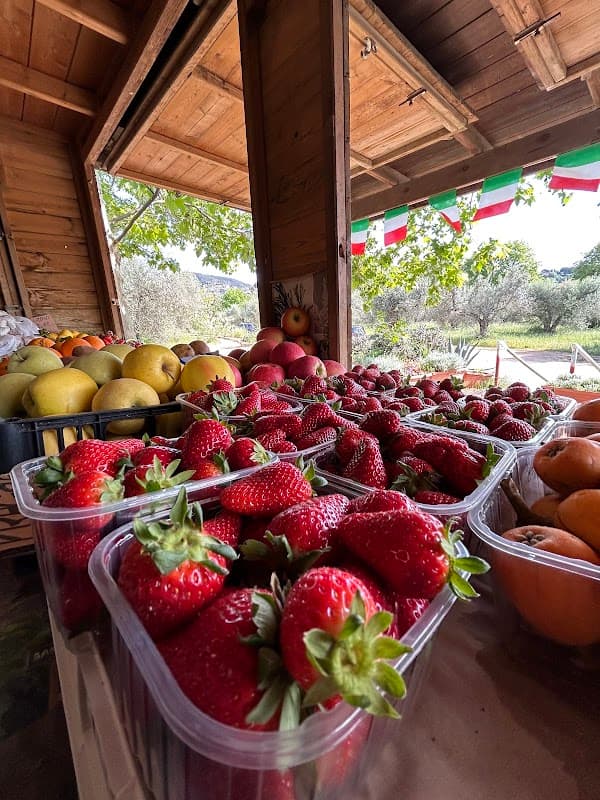 Immagine di Az. Agricola Pulizzi Carlo a Castagneto Carducci, Toscana
