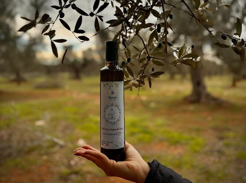 Immagine di Azienda Agricola Macripò - Produzione e Vendita Olio di Oliva Extravergine e Vino Primitivo a Taranto, Puglia