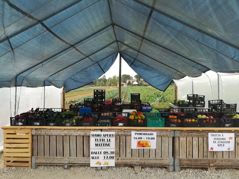 Immagine di Vendita diretta Azienda Agricola Bosi a Faenza, Emilia-Romagna