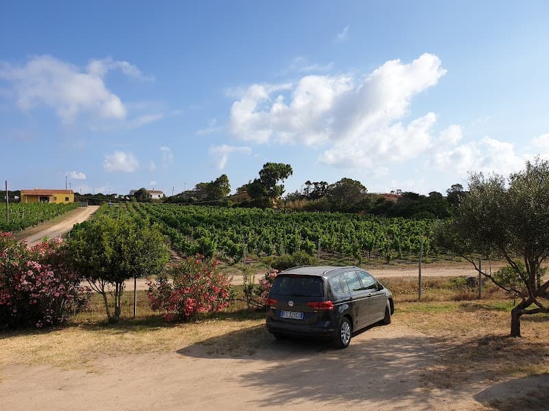 Immagine di Azienda Agricola Campesi a Aglientu, Sardegna