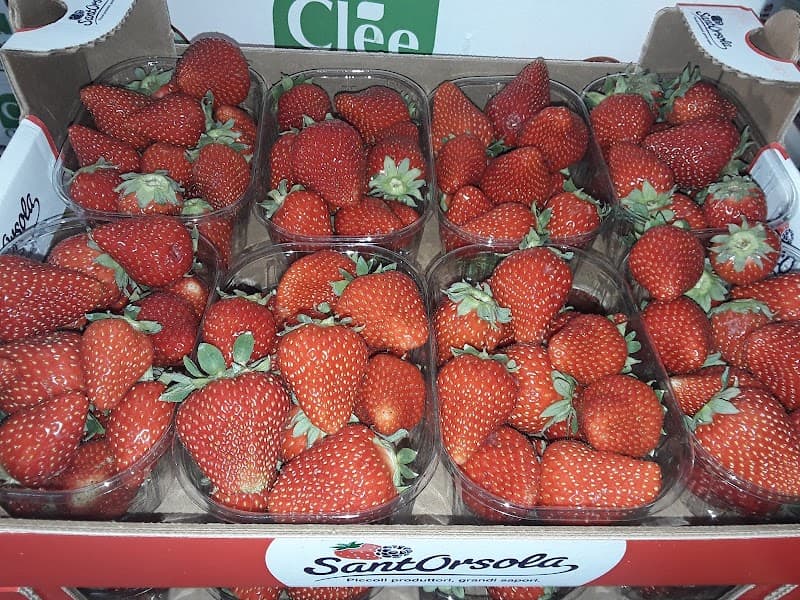 Immagine di Marchefrutta s.a.s. a San Benedetto del Tronto, Marche