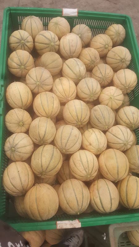 Immagine di Orlandi ortofrutta snc - ingrosso prodotti ortofrutticoli a Santa Maria Apparente, Marche