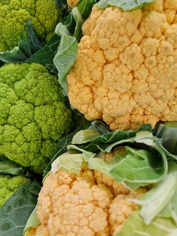 Immagine di Agrofattorino a Lecce, Puglia