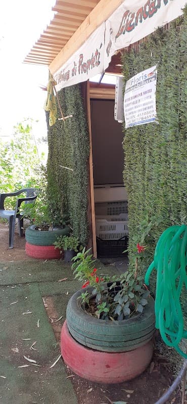 Immagine di "Frutta e Verdura" di Magro Giancarlo a Castiadas, Sardegna