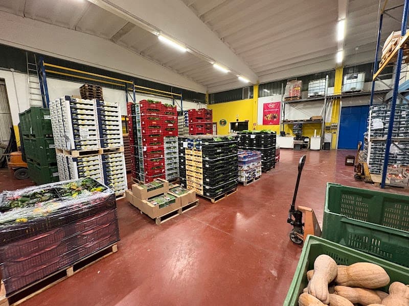 Immagine di Neri Ortofrutta a San Martino In Campo, Umbria