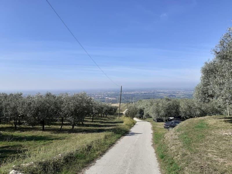 Immagine di Azienda Agricola La Pianurella a Avellino, Campania