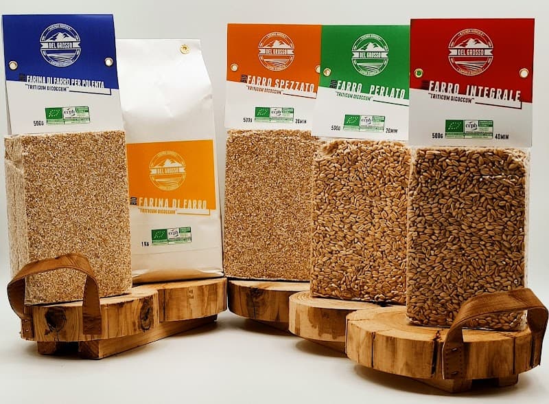 Immagine di Azienda Agricola Del Grosso Cristiana a Massa d'Albe, Abruzzo