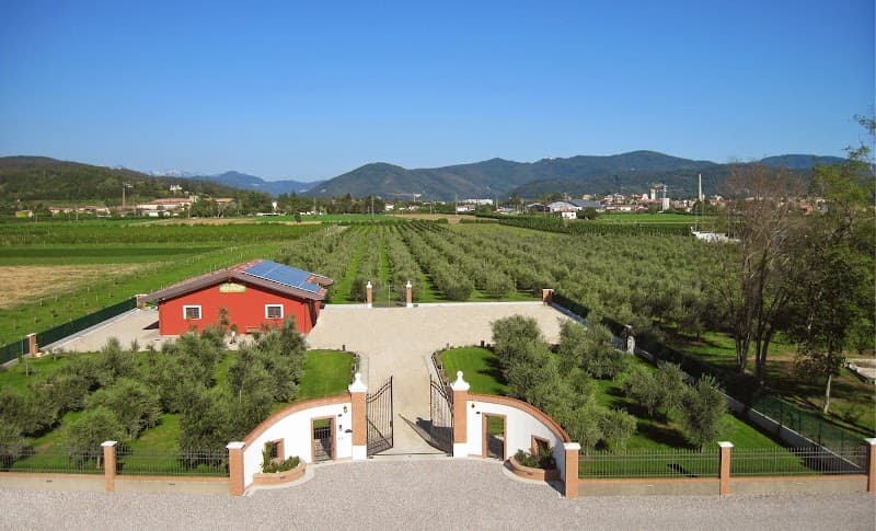 Anteprima immagine