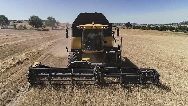 Immagine di Azienda agricola Tralli a Matera, Basilicata