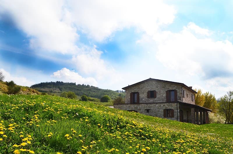Immagine di Agriturismo e Fattoria Biologica L'A Ceccoli a Zaghini, Emilia-Romagna